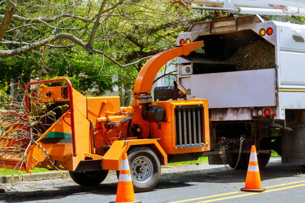 Best Storm Damage Tree Cleanup  in Reisterstown, MD